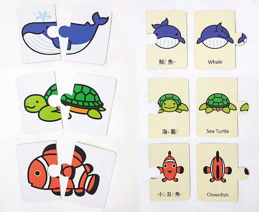 球球館🇹🇼 育智配對圖卡（全4款）