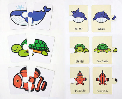 球球館🇹🇼 育智配對圖卡（全4款）